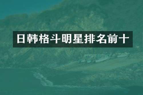 日韩格斗明星排名前十