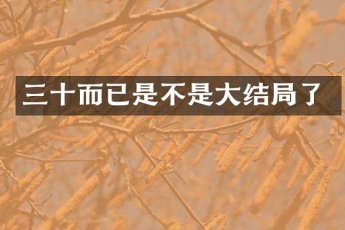 三十而已是不是大结局了