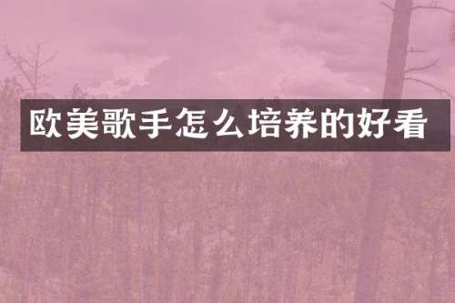 欧美歌手怎么培养的好看