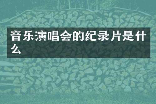 音乐演唱会的纪录片是什么