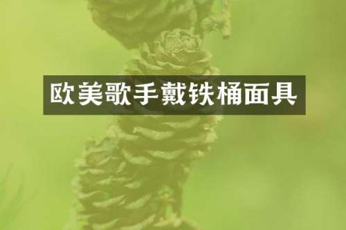欧美歌手戴铁桶面具
