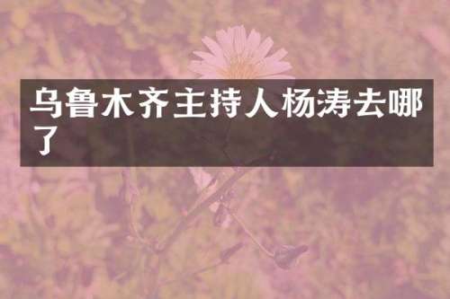 乌鲁木齐主持人杨涛去哪了