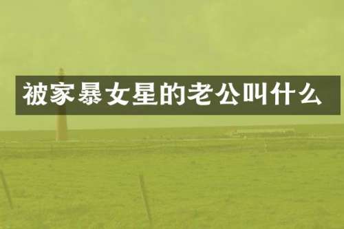 被家暴女星的老公叫什么