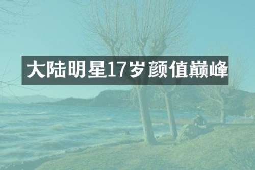 大陆明星17岁颜值巅峰