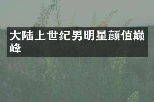 大陆上世纪男明星颜值巅峰