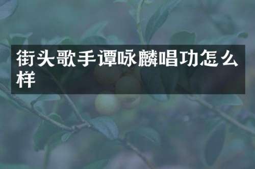 街头歌手谭咏麟唱功怎么样