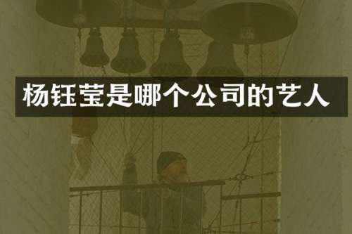 杨钰莹是哪个公司的艺人