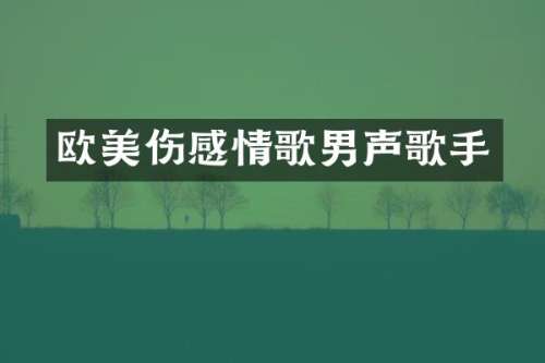 欧美伤感情歌男声歌手