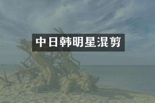 中日韩明星混剪
