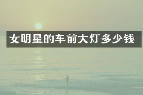 女明星的车前大灯多少钱
