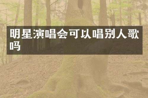 明星演唱会可以唱别人歌吗