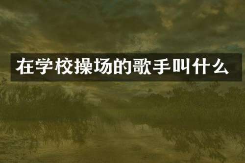 在学校操场的歌手叫什么