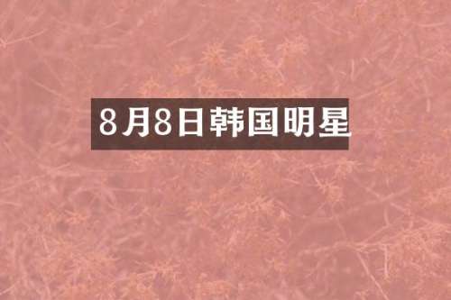 8月8日韩国明星