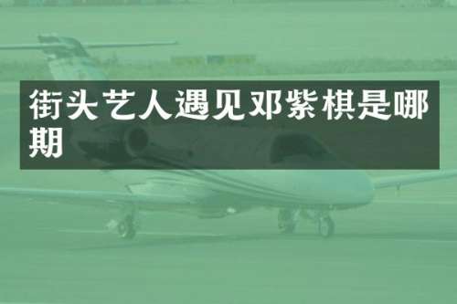 街头艺人遇见邓紫棋是哪期