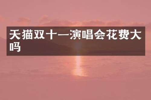 天猫双十一演唱会花费大吗