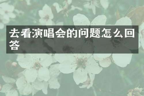 去看演唱会的问题怎么回答