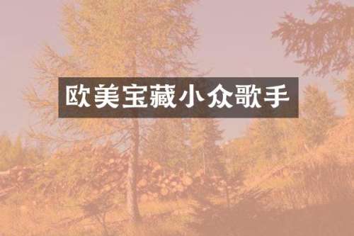 欧美宝藏小众歌手