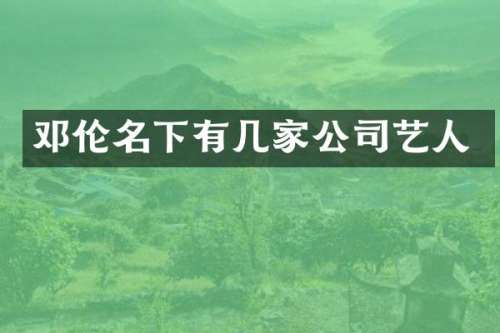 名下有几家公司艺人