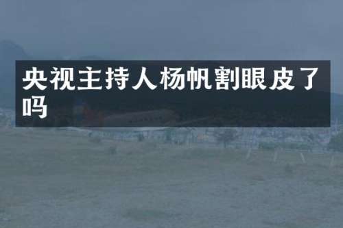 央视主持人杨帆割眼皮了吗