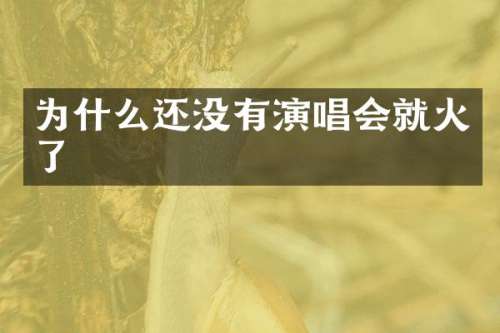 为什么还没有演唱会就火了