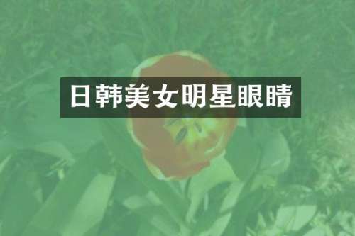 日韩明星眼睛