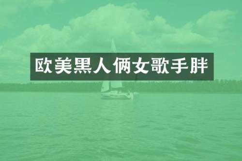 欧美黑人俩女歌手胖