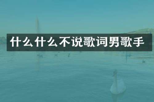 什么什么不说歌词男歌手