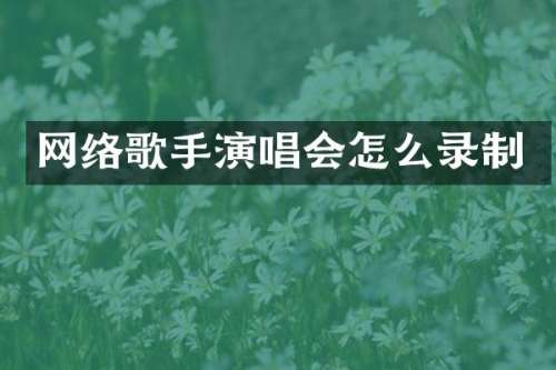 网络歌手演唱会怎么录制