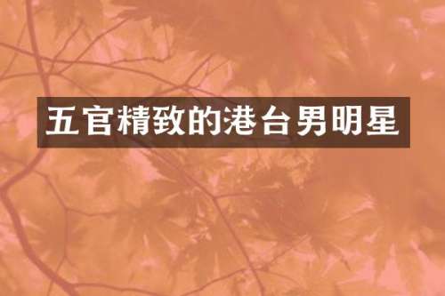 五官精致的港台男明星