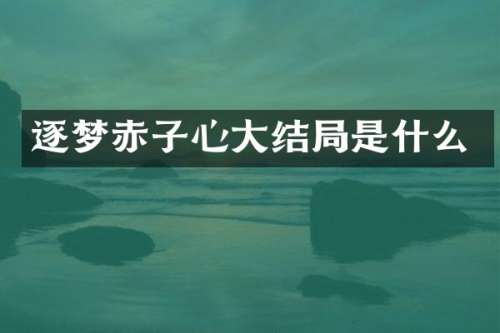逐梦赤子心大结局是什么