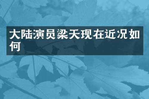 大陆演员梁天现在近况如何