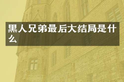黑人兄弟最后大结局是什么