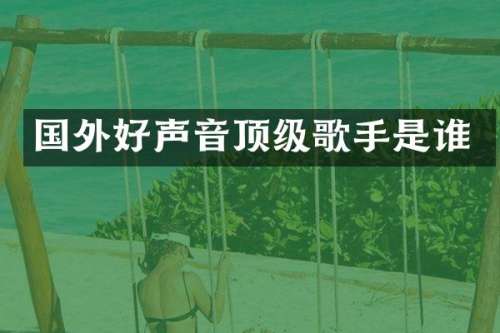 国外好声音顶级歌手是谁
