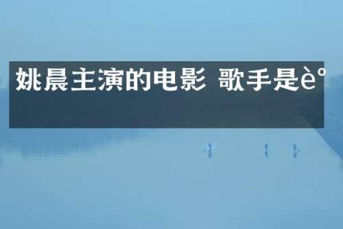 姚晨主演的电影 歌手是谁