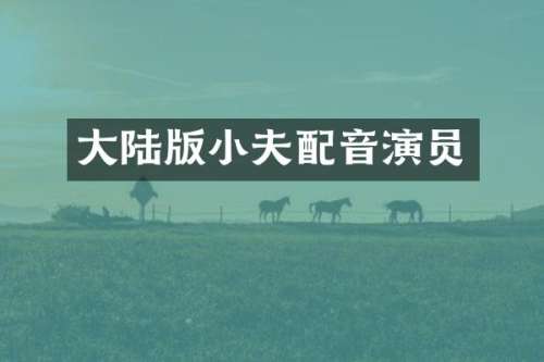 大陆版小夫配音演员