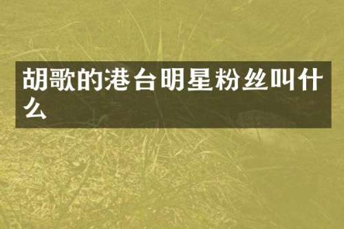 胡歌的港台明星粉丝叫什么