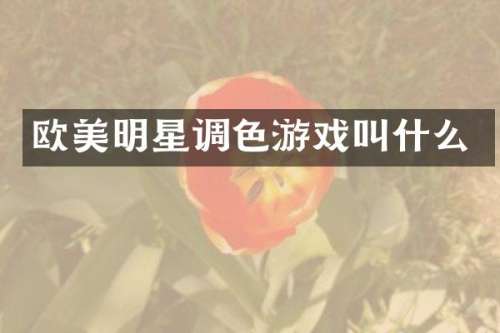 欧美明星调色游戏叫什么