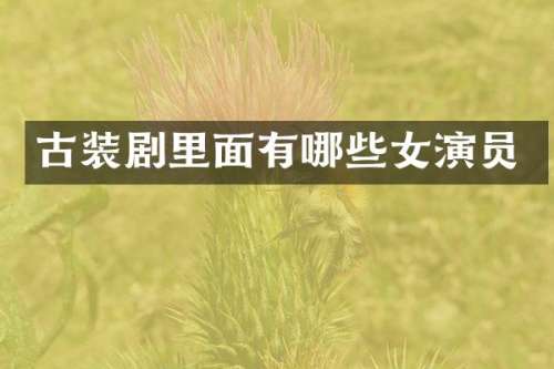 古装剧里面有哪些女演员