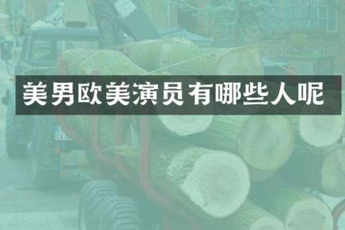 美男欧美演员有哪些人呢