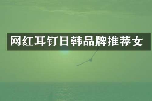 网红耳钉日韩品牌推荐女
