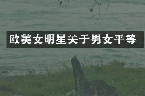 欧明星关于男女平等