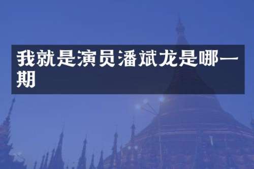我就是演员潘斌龙是哪一期