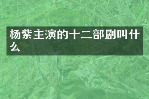 杨紫主演的十二部剧叫什么