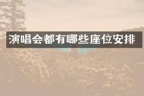演唱会都有哪些座位安排