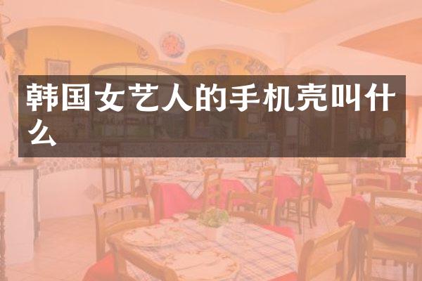 韩国女艺人的手机壳叫什么