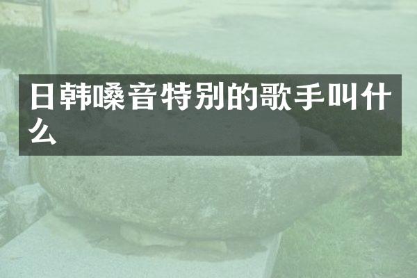 日韩嗓音特别的歌手叫什么