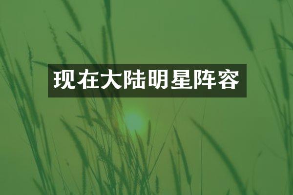 现在大陆明星阵容