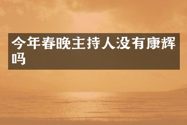 今年主持人没有康辉吗