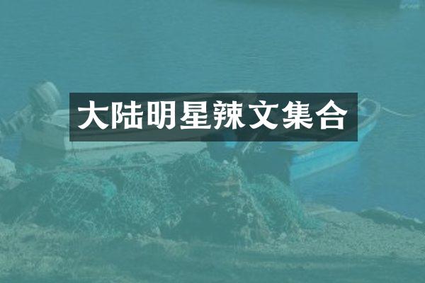 大陆明星集合