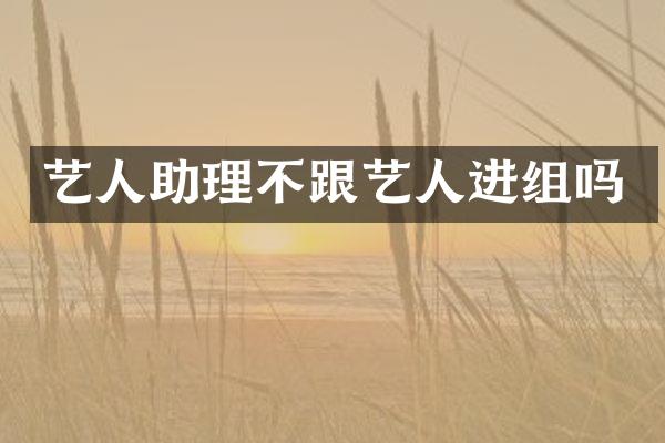 艺人助理不跟艺人进组吗
